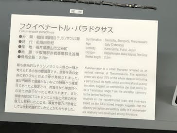 福井県立恐竜博物館に投稿された画像（2025/2/16）