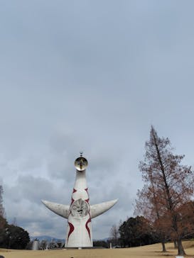 万博記念公園に投稿された画像（2025/2/16）