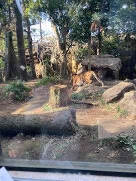 恩賜上野動物園に投稿された画像（2025/2/16）