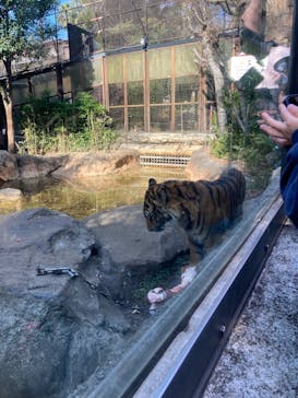 恩賜上野動物園に投稿された画像（2025/2/16）