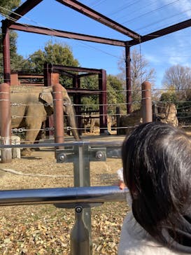 恩賜上野動物園に投稿された画像（2025/2/16）