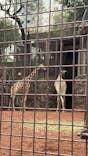 恩賜上野動物園に投稿された画像（2025/2/16）