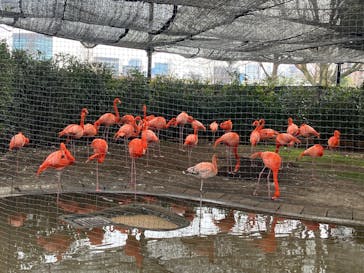 恩賜上野動物園に投稿された画像（2025/2/16）