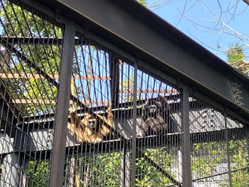 恩賜上野動物園に投稿された画像（2025/2/16）