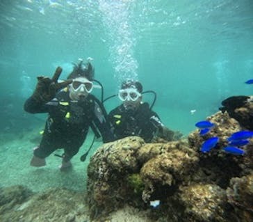 沖縄マリンサービス碧に投稿された画像（2025/2/16）