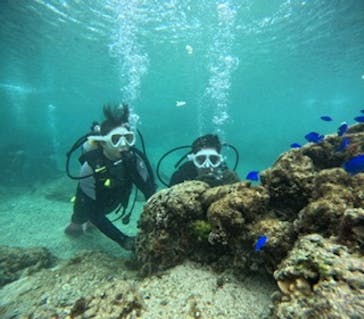 沖縄マリンサービス碧に投稿された画像（2025/2/16）