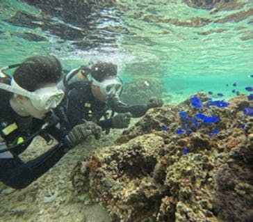 沖縄マリンサービス碧に投稿された画像（2025/2/16）