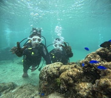 沖縄マリンサービス碧に投稿された画像（2025/2/16）