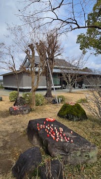 南都大安寺に投稿された画像（2025/2/16）