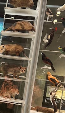 国立科学博物館に投稿された画像（2025/2/16）