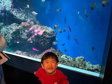 マクセル アクアパーク品川に投稿された画像（2025/2/16）