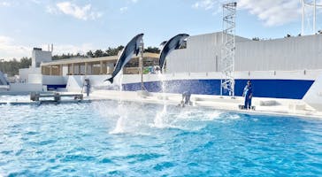 鴨川シーワールドに投稿された画像（2025/2/16）