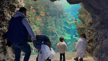 鴨川シーワールドに投稿された画像（2025/2/16）