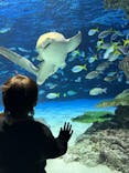 サンシャイン水族館に投稿された画像（2025/2/16）