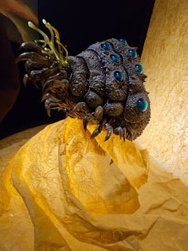 金曜ロードショーとジブリ展　三重展に投稿された画像（2025/2/16）