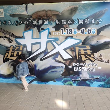 アクアワールド茨城県大洗水族館に投稿された画像（2025/2/16）