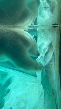 恩賜上野動物園に投稿された画像（2025/2/16）