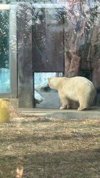 恩賜上野動物園に投稿された画像（2025/2/16）