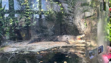 恩賜上野動物園に投稿された画像（2025/2/16）