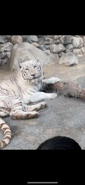 東武動物公園に投稿された画像（2025/2/16）