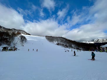 氷ノ山国際スキー場に投稿された画像（2025/2/16）