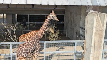 霞ケ浦 どうぶつとみんなのいえに投稿された画像（2025/2/16）