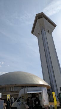 霞ケ浦 どうぶつとみんなのいえに投稿された画像（2025/2/16）