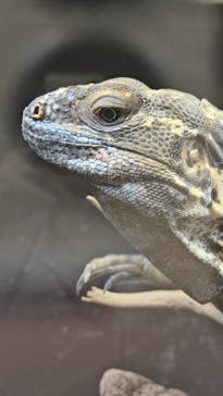 NARA IKIMONO MUSEUMに投稿された画像（2025/2/16）