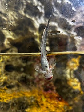 マリンワールド海の中道に投稿された画像（2025/2/16）