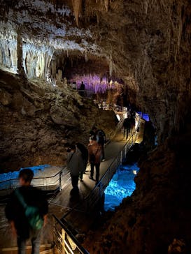 おきなわワールドに投稿された画像（2025/2/16）