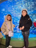 アクアワールド茨城県大洗水族館に投稿された画像（2025/2/16）
