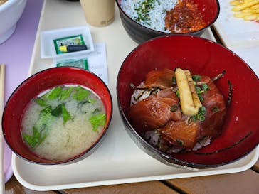 アクアワールド茨城県大洗水族館に投稿された画像（2025/2/16）