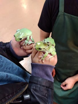 いきもの探検隊上尾に投稿された画像（2025/2/16）