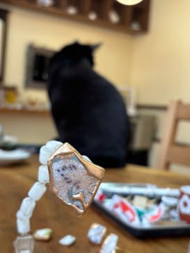 京月夜に投稿された画像（2025/2/16）