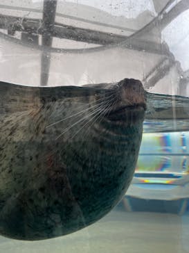 京都水族館に投稿された画像（2025/2/16）