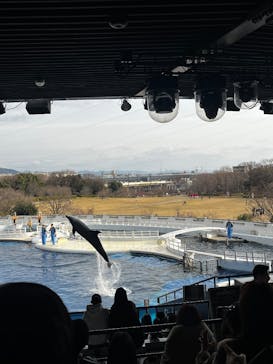 京都水族館に投稿された画像（2025/2/16）