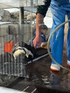 京都水族館に投稿された画像（2025/2/16）