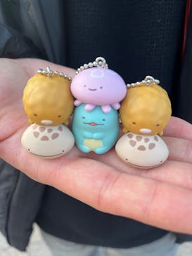 京都水族館に投稿された画像（2025/2/16）