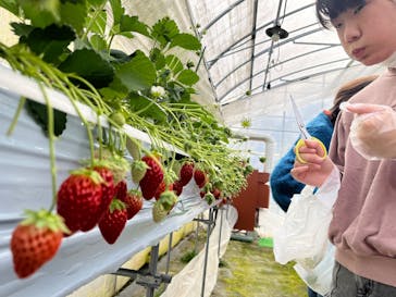 たにい農園に投稿された画像（2025/2/16）