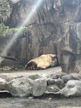 多摩動物公園に投稿された画像（2025/2/16）