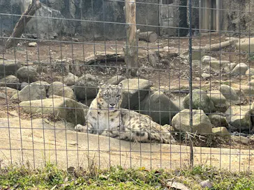 多摩動物公園に投稿された画像（2025/2/16）