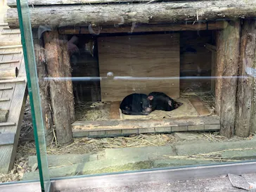 多摩動物公園に投稿された画像（2025/2/16）