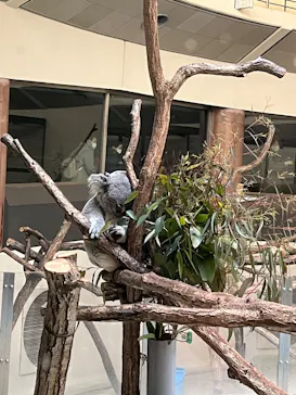 多摩動物公園に投稿された画像（2025/2/16）