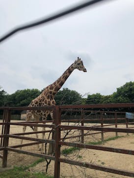 東武動物公園に投稿された画像（2025/2/16）