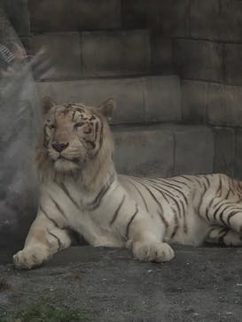 東武動物公園に投稿された画像（2025/2/16）