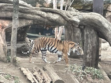 恩賜上野動物園に投稿された画像（2025/2/16）