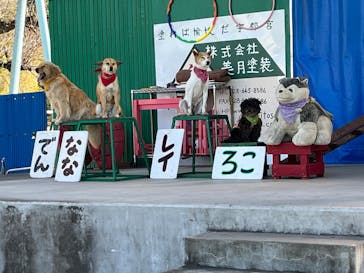 宇都宮動物園に投稿された画像（2025/2/16）