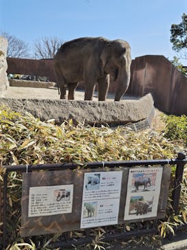 日立市かみね動物園に投稿された画像（2025/2/16）