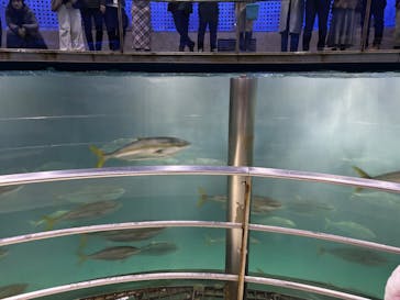 城崎マリンワールドに投稿された画像（2025/2/16）