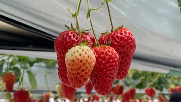 株式会社こまち野に投稿された画像（2025/2/16）